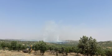 Li gundên Şemrexê agir bi daristanê ket