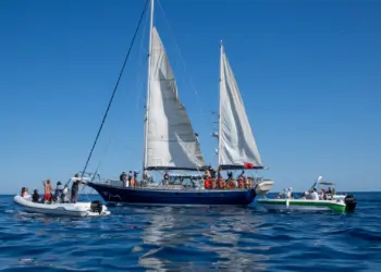 Keştiya hetkarî ke şîyêne Filîstîn ameye vindarnayene