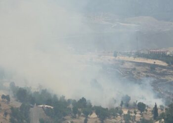 Li navenda Şirnexê agir bi daristanê ket