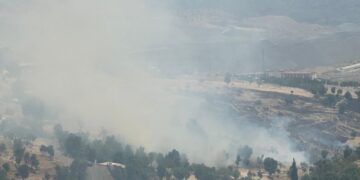 Li navenda Şirnexê agir bi daristanê ket