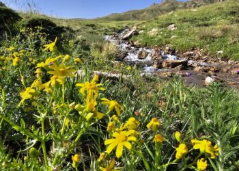 Li Herekolê bihişteke veşartî: Zozanên Çemê Karê