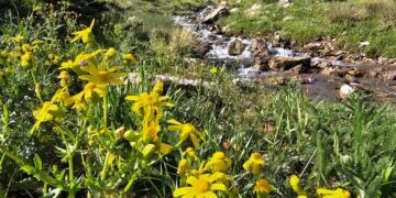 Li Herekolê bihişteke veşartî: Zozanên Çemê Karê