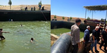 Sûr de ciwanêko 28 serre awe de xeniqîya