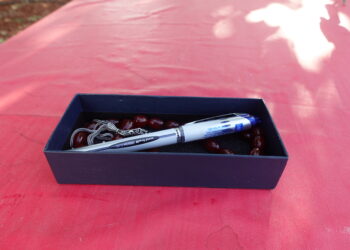 Abdullah Ocalan pênûs diyarî zarokan kir