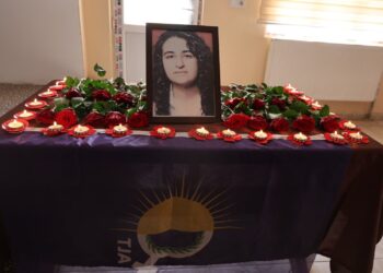 Zeynep Kinaci Şirnex de ameye vîrardene