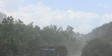 Baroya Şirnexê giliyê kesên ku daran dibirin kir