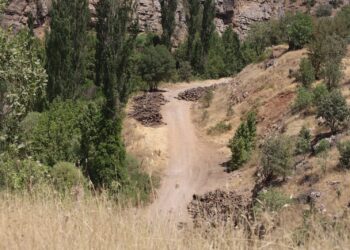 Baroya Şirnexê li dijî birîna daran dest bi komkirina îmzeyan dike