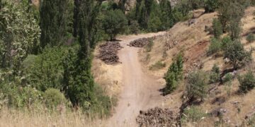 Baroya Şirnexê li dijî birîna daran dest bi komkirina îmzeyan dike