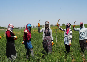 Hêgayan de zor û zehmetîyan dest pêkerd