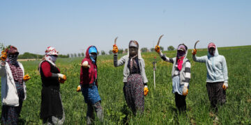 Hêgayan de zor û zehmetîyan dest pêkerd