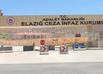 Girewteyê sîyasîyî vera îşkenceyî grevê vêşanîye de yê