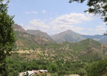 Elkê de 3 herêmî ameyê qedexekerdene