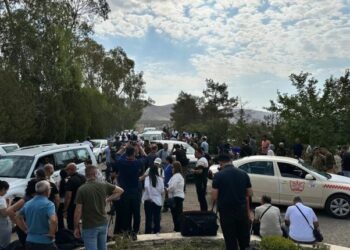 Girse li Dukanê kom bûn