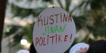 Mêrsîn de cinîyêk ameye kiştiş