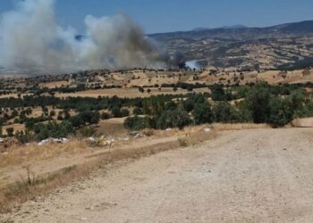 Kutahya û Aydin de şewat vejîya