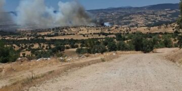 Kutahya û Aydin de şewat vejîya