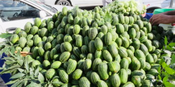 Tableyên ecûran kolanên Sûrê xemilandin