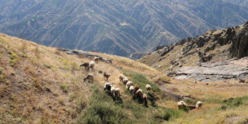 ‘Cuya ma girêdayeyê zozanan a’