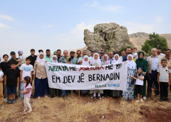 ‘Zozanê Hesendînê ya me ye û dê ya me be’