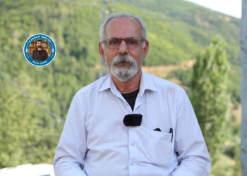 Siyasetmedar Demîr: Ti pêvajo yekalî nameşe