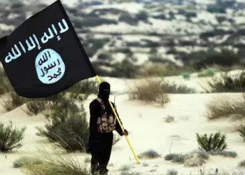 DAIŞê li Pirdê cotkarekî Kurd revand