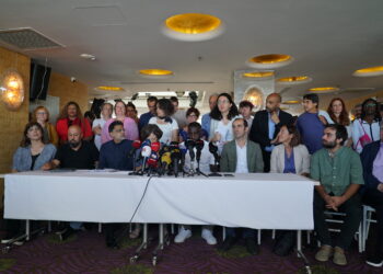 Heyeta Ewropî: Divê rayedarên Tirk gavan biavêjin û birêz Ocalan bê berdan