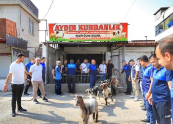 Zabiteyan 6 kargeh ji ber “Nexweşiya Şapê” mohr kir