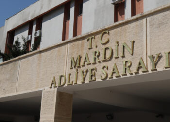 Ciwanên ji ber wêneyên Ocalan hatibûn binçavkirin hatin berdan