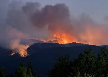 Li Eskîşehîrê 10 karkerên daristanê jiyana xwe ji dest dan