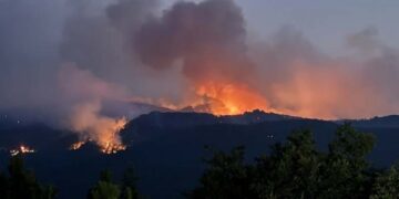 Li Eskîşehîrê 10 karkerên daristanê jiyana xwe ji dest dan