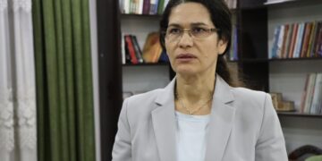 Îlham Ehmed: Di mijara entegrasyonê de pirsgirêkên cîddî hene