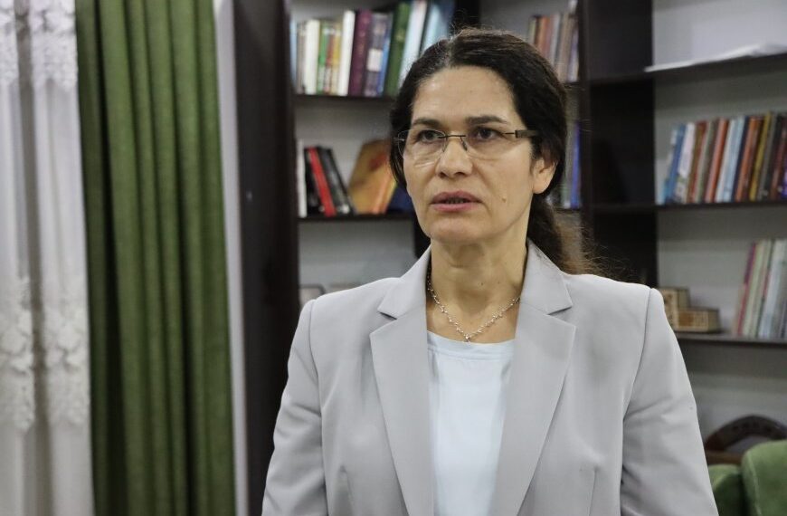 Îlham Ehmed: Di mijara entegrasyonê de pirsgirêkên cîddî hene