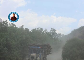 Cerdevan rojê 270 ton darên gund dibirin