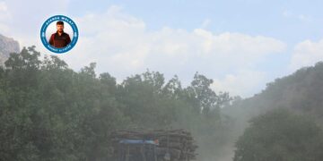 Cerdevan rojê 270 ton darên gund dibirin