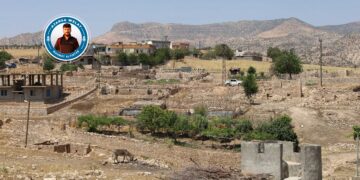 Li ser kavilan jiyaneke nû ava kirin