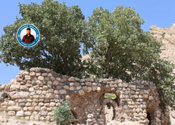 Medreseya Feqiyê Teyran bi tunebûnê re rû bi rû ye