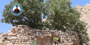 Medreseya Feqiyê Teyran bi tunebûnê re rû bi rû ye