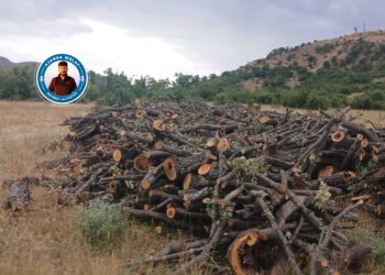 Li Besta Bilga û Cilbiya talankirina xwezayê