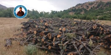 Li Besta Bilga û Cilbiya talankirina xwezayê