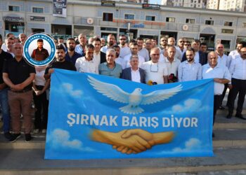 Saziyên Şirnexê: Divê dewlet ji aliyê qanûnî ve gavan biavêje