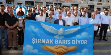 Saziyên Şirnexê: Divê dewlet ji aliyê qanûnî ve gavan biavêje