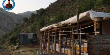 Mêşvanek Elkî: Divê ji bo bazara hingiv kooperatîf ava bibe