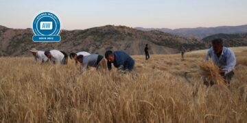 Rixmê averşîyayîşê teknolojîyî zî kulturê paleyî domnenê