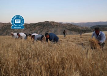 Tevî teknolojiyê jî çanda palehiyê didomînin