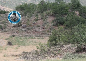 Cerdevanî herêma Mêrgûmarî talan kenê