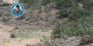 Cerdevanî herêma Mêrgûmarî talan kenê