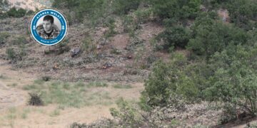 Cerdevan Herêma Mêrgûmarê talan dikin