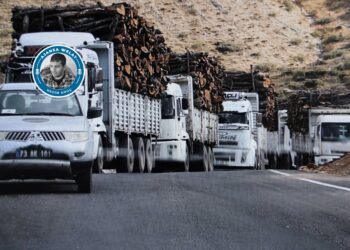 Waliyê Şirnexê gotiye ‘daran nebirin’ lê cerdevan ranawestin!