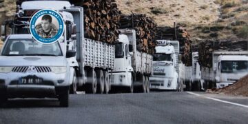 Waliyê Şirnexê gotiye ‘daran nebirin’ lê cerdevan ranawestin!