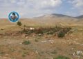 Goristana gerîlayan a li Feraşînê jî hatiye rûxandin